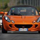 alle hetzen die orange Elise