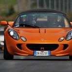 alle hetzen die orange Elise