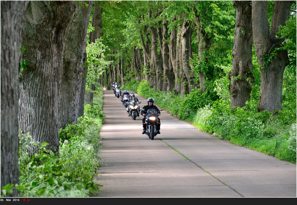 Alle in Allee