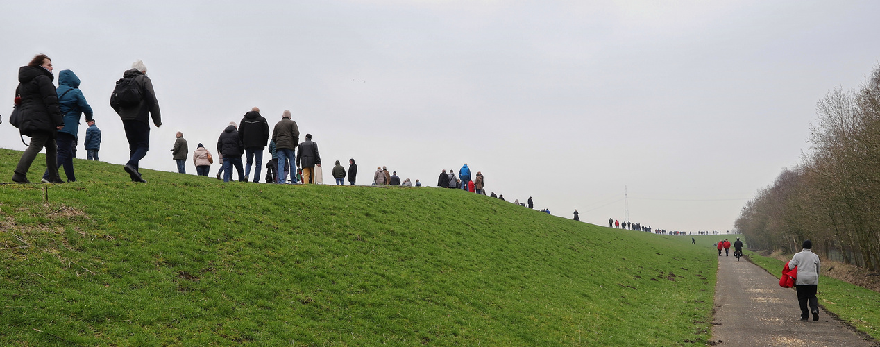 Alle in eine Richtung (2019_03_20_EOS 6D Mark II_0695_ji)