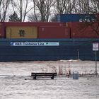 Alle Jahre wieder - Hochwasser