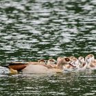 Alle Kinder haben großes Interesse