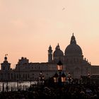 Alle lieben Venedig