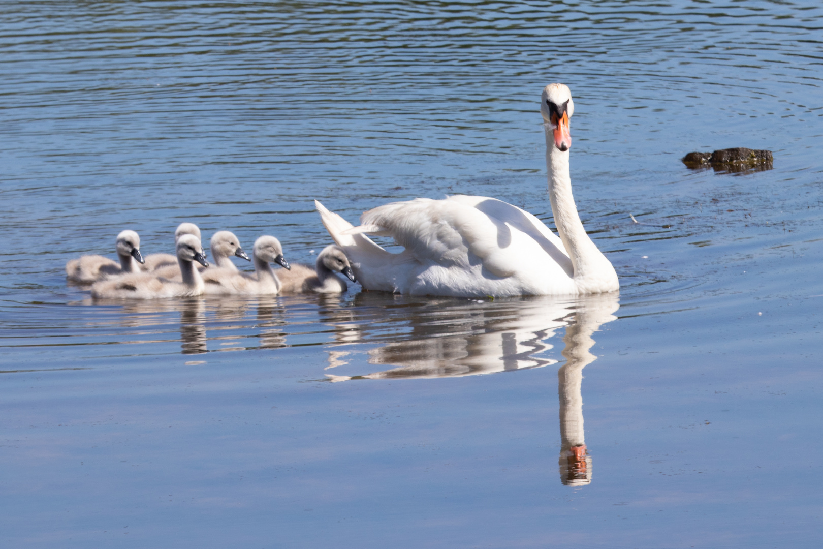 Alle Mama nach!