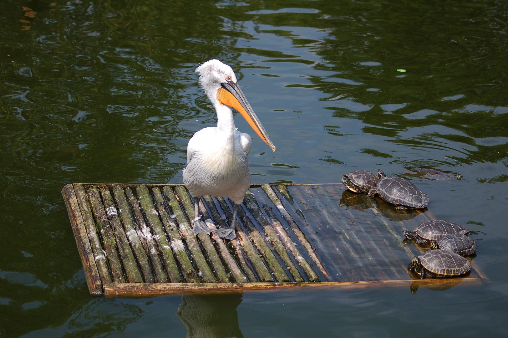 Alle Mann an Bord