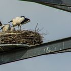 Alle "Mann" an Bord