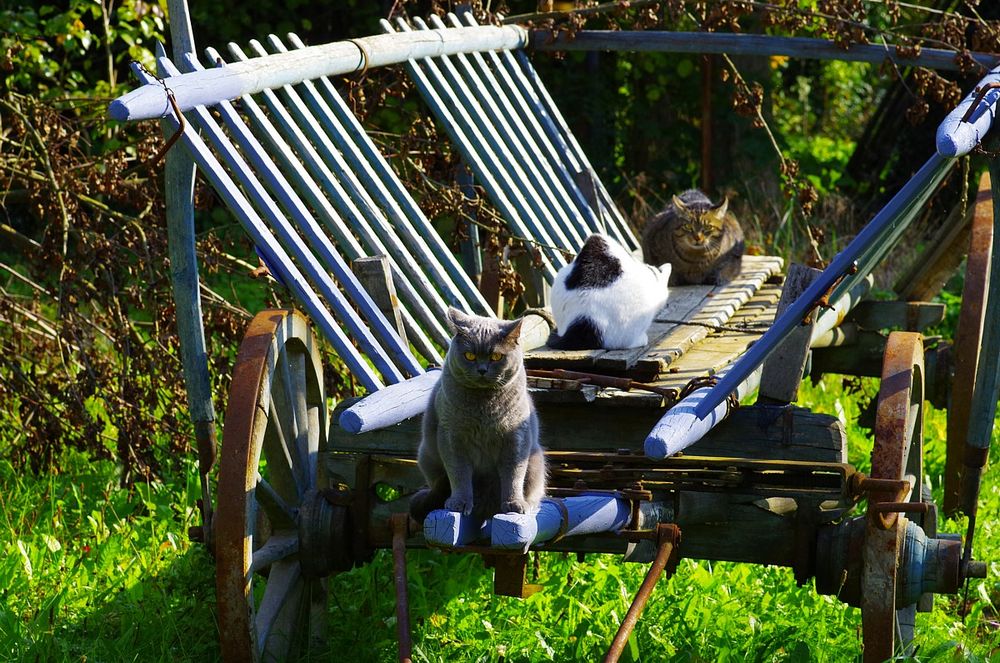 Alle Mann an Bord - Abfahrt