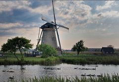 Alle meine Entchen ... in Kinderdijk...