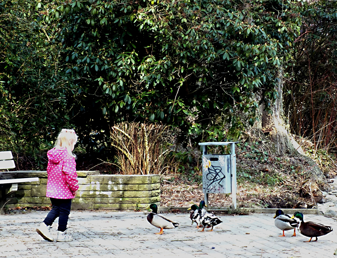 alle meine Enten