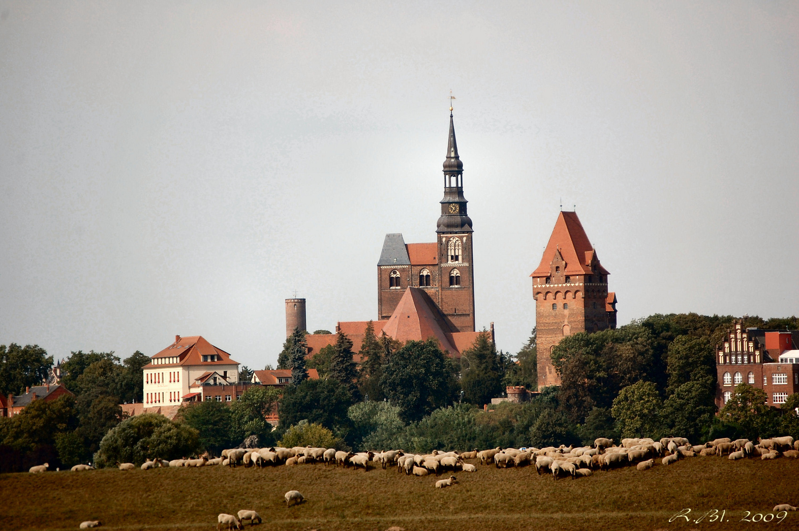 Alle meine Schäfchen von St. Stephan