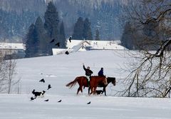 Alle Paare miteinander (Version Winter)