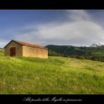 Alle pendici della Majella in primavera