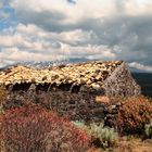 Alle pendici dell'Etna