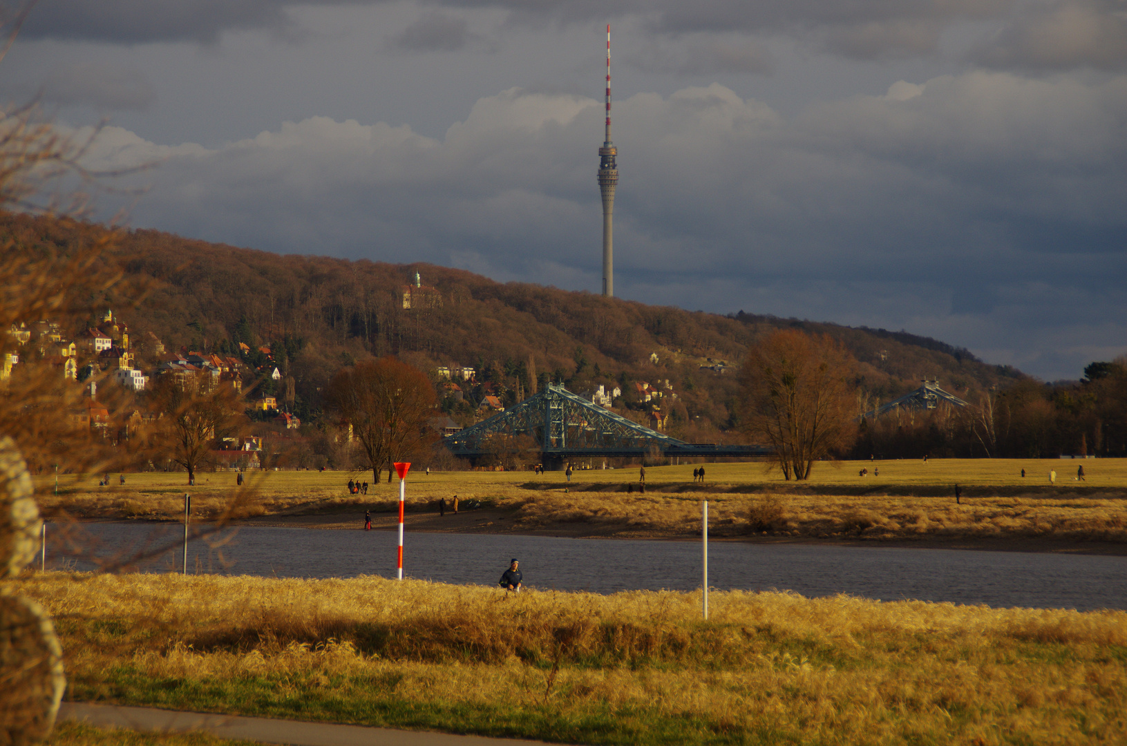 Alle raus....die Sonne ist da!!! Elbwiesen in Aktion