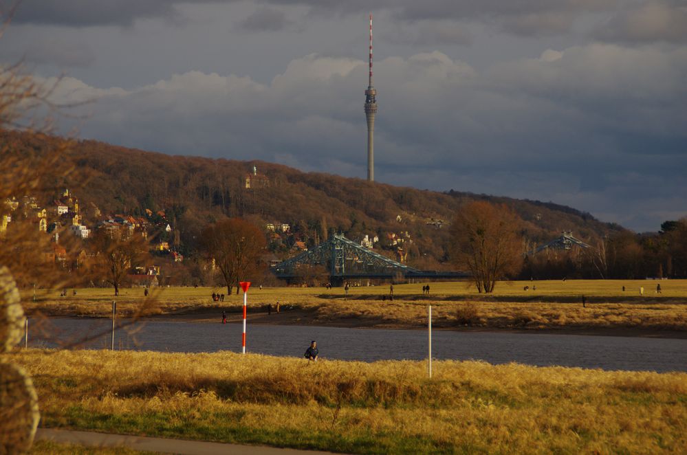 Alle raus....die Sonne ist da!!! Elbwiesen in Aktion