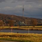 Alle raus....die Sonne ist da!!! Elbwiesen in Aktion