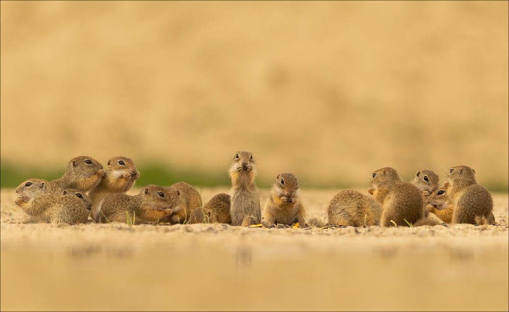 Alle sind gekommen!