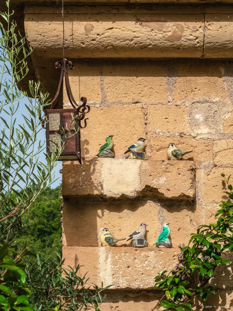 Alle Vögel sind schon da?