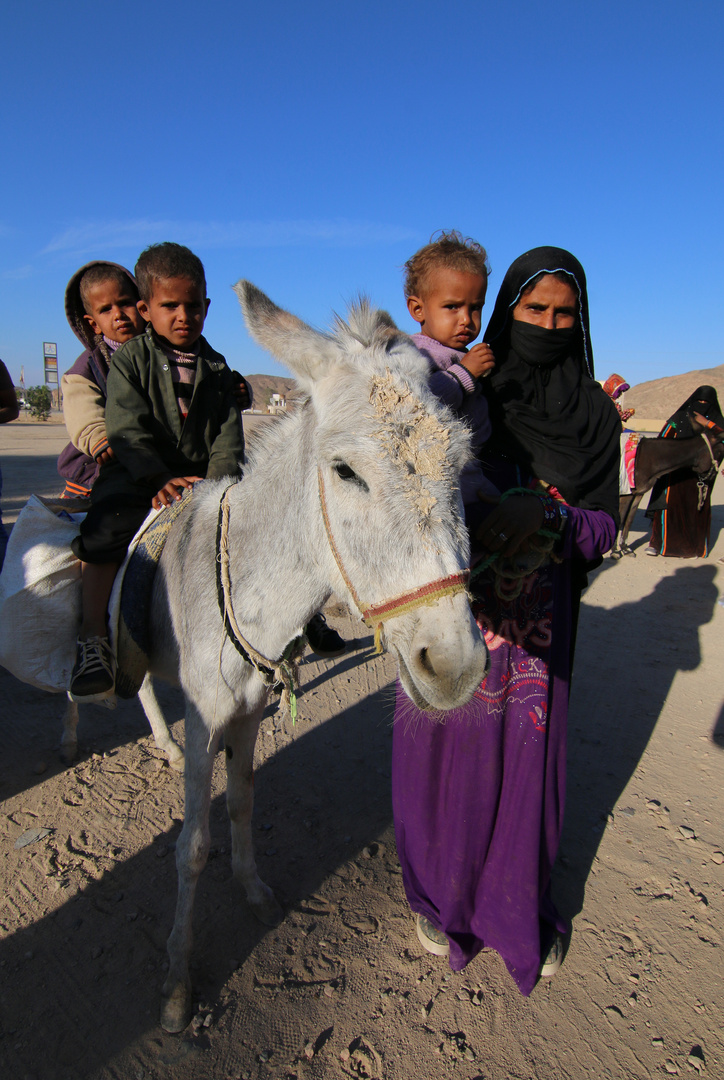 Alle Wege führen nach Luxor.