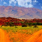 Alle Wege führen nach ...                                               (zum Brandberg) Namibia