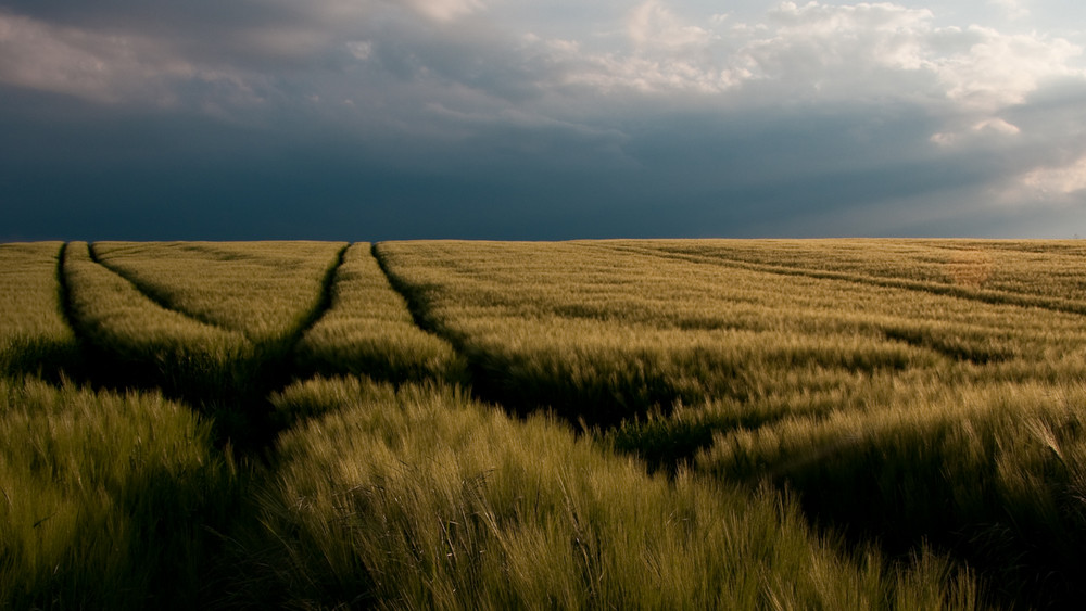 Alle wege führen zum Fotografen