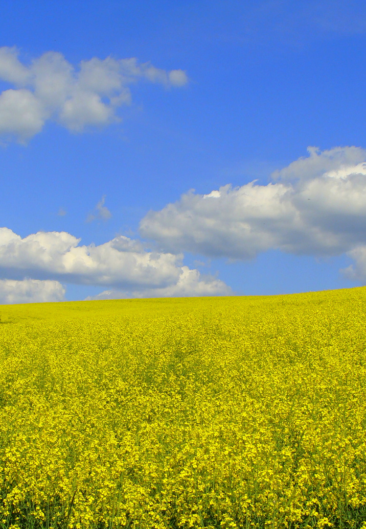 *Alle Wege führen zum Himmel*