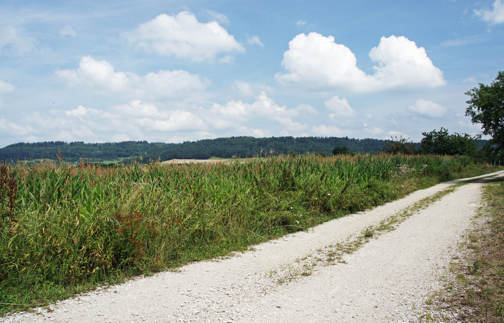 Alle Wege haben ein Ziel