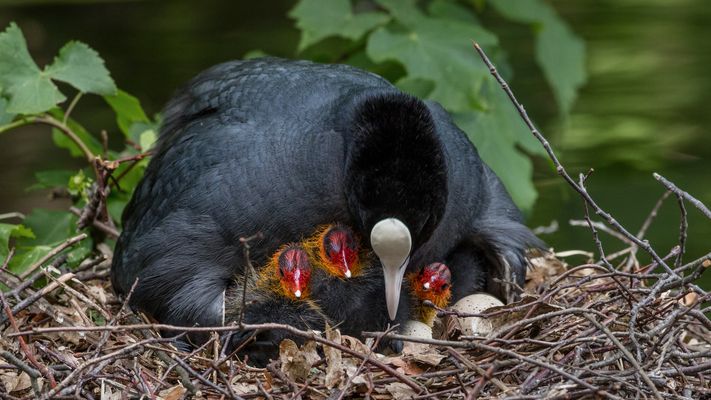Alle werden zusammen gehalten!