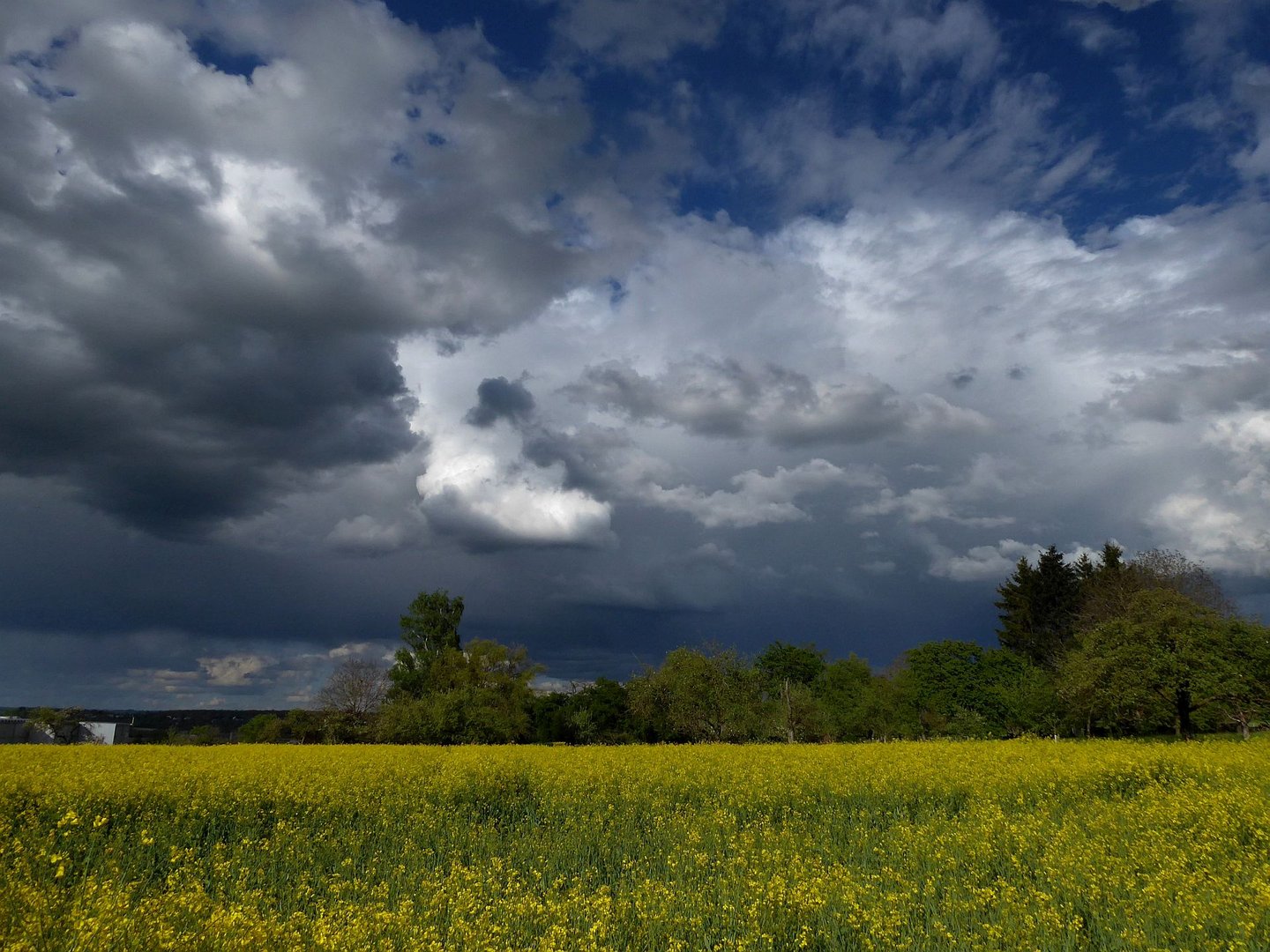 Alle Wetter...