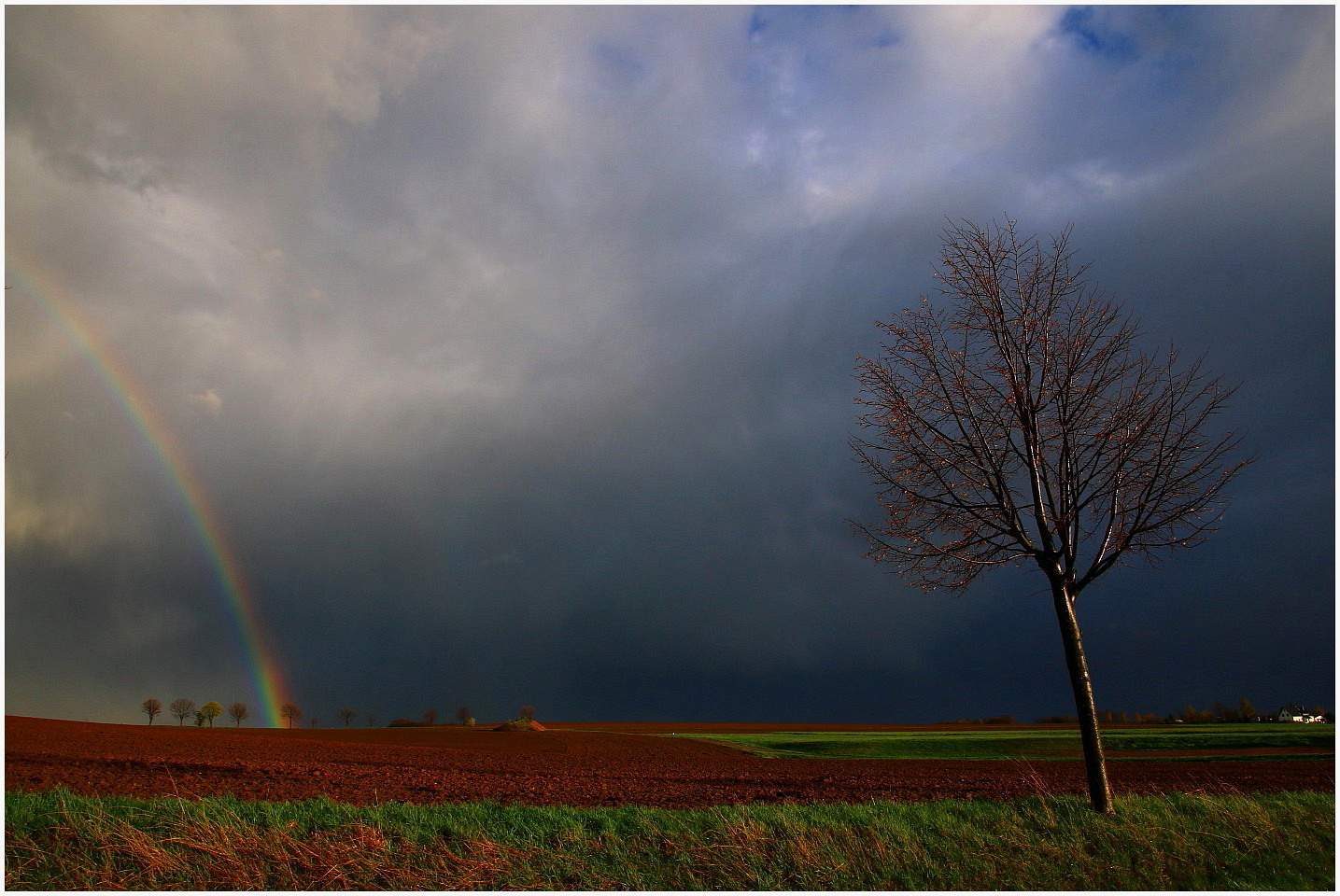 Alle Wetter