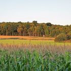 Alle Zeichen stehen auf Herbst