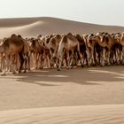 Alle zusammen auf der "Straße"