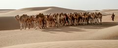 Alle zusammen auf der "Straße"