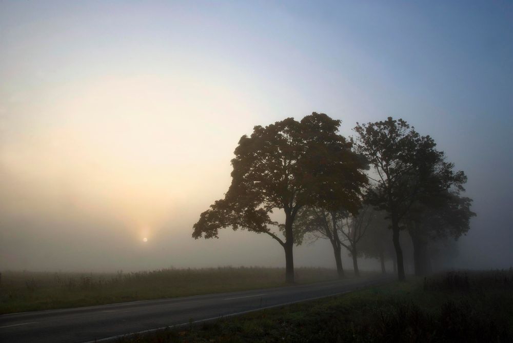 Allee Foto & Bild | deutschland, europe, brandenburg Bilder auf ...