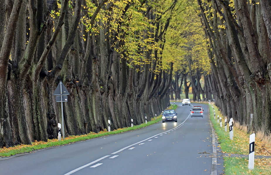 Allee Foto & Bild | deutschland, europe, mecklenburg- vorpommern Bilder ...