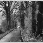 allee 2