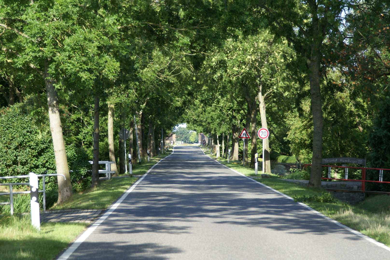 Allee 2