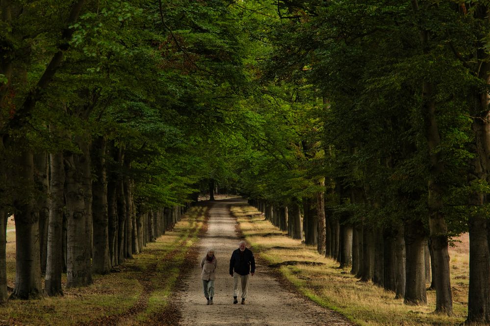 Allee Foto & Bild | erwachsene menschen, landschaft, alleen Bilder auf ...