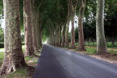 Allée am Chateau Vaux le Vicomte