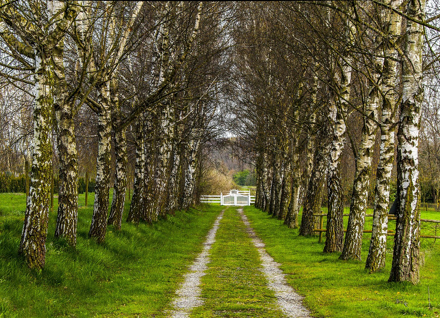 Allee am Haarstrang...