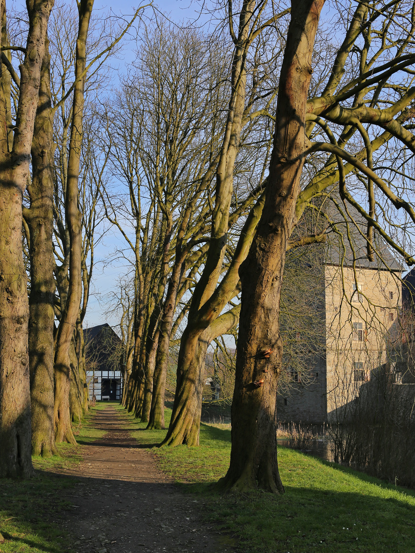 Allee am Haus Kemnade (2018_02_08_EOS 6D_8454_ji)