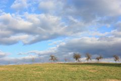 Allee am Horizont