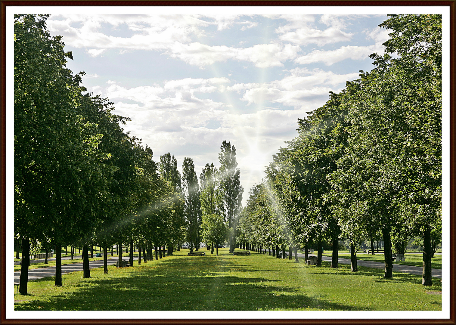 Allee am Kaisermühlendamm