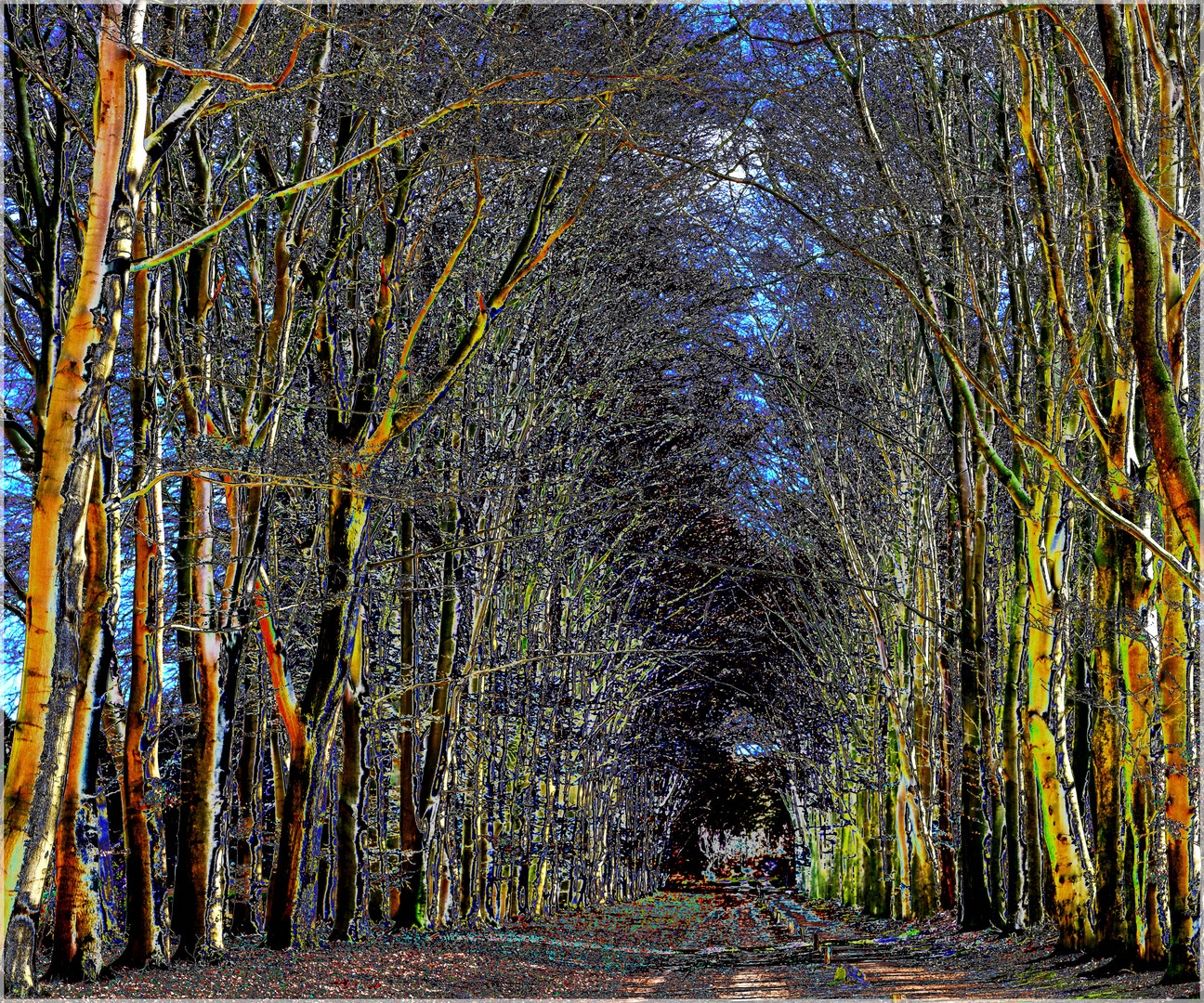 Allee am Mosbeekweg surreal