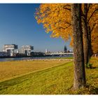 Allee am Rhein