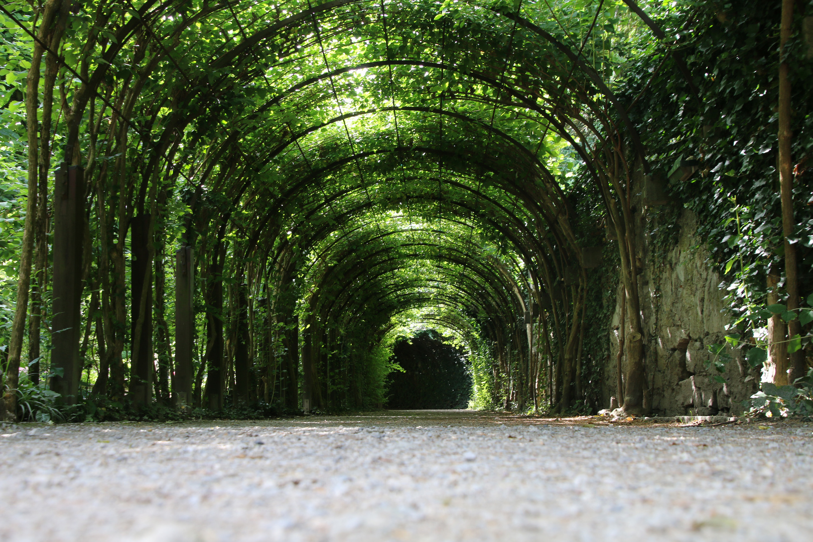 Allee am Salzbuger Schloss