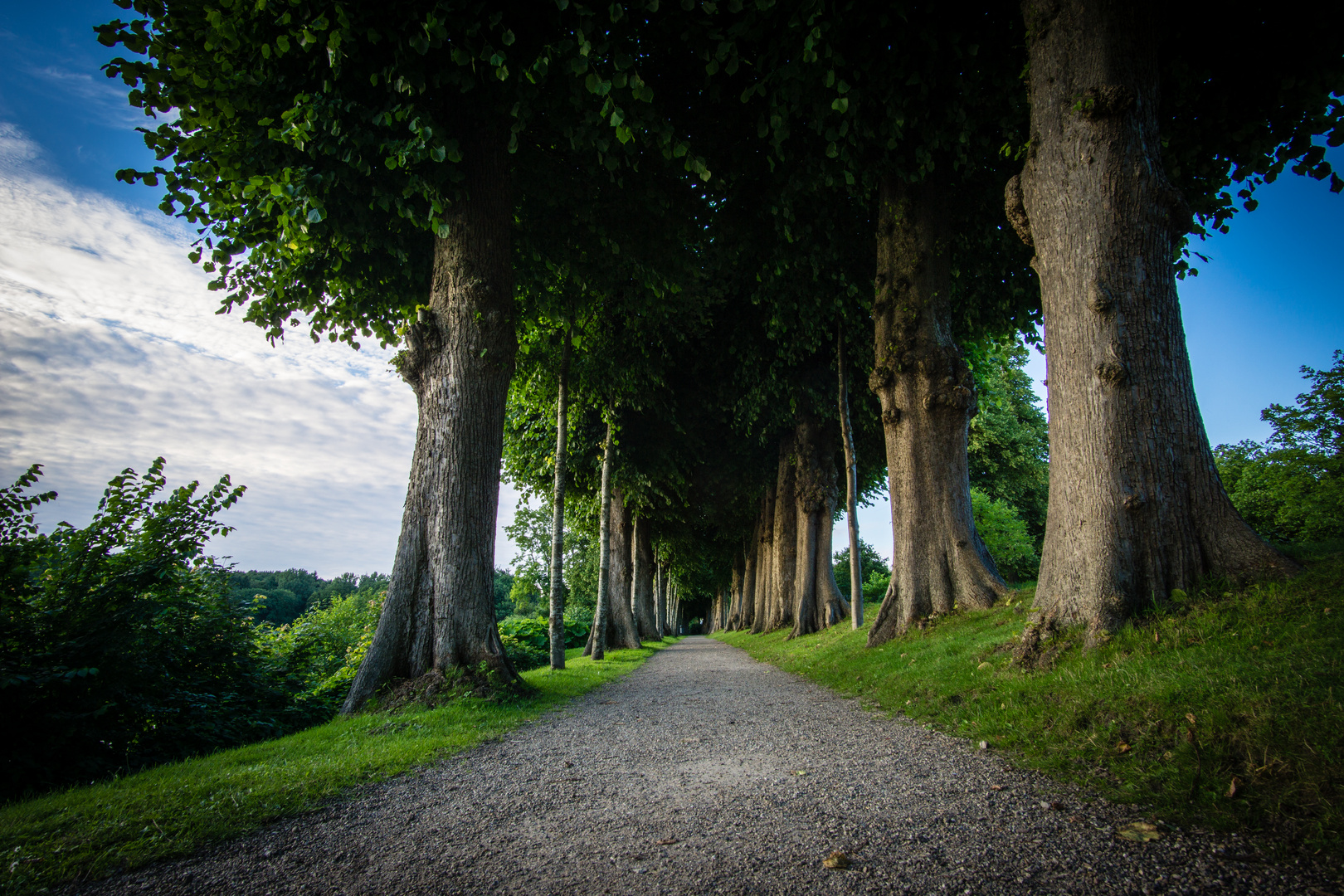 Allee am Schloss