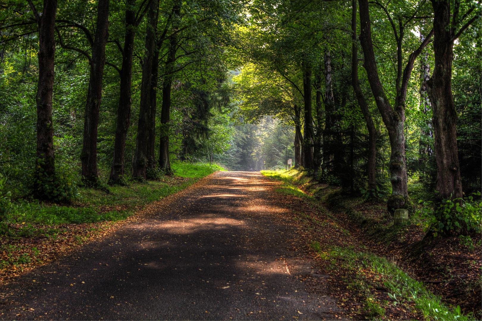 Allee am Tageberg / Bad Hersfeld