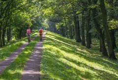 Allee an der Elbe