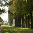 Allee an der Glienicker Brücke, Potsdam